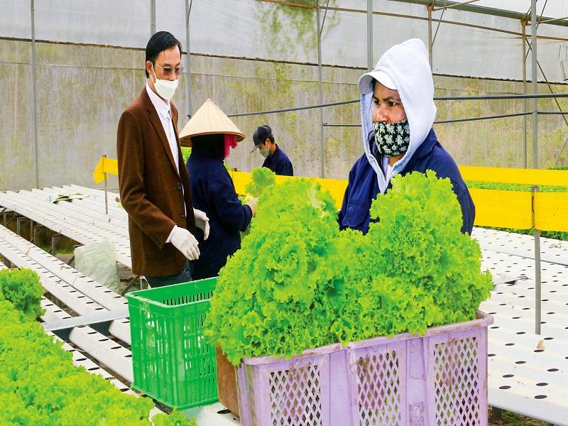 Huyện Lạc Dương đẩy mạnh việc ứng dụng khoa học công nghệ trong sản xuất nông nghiệp