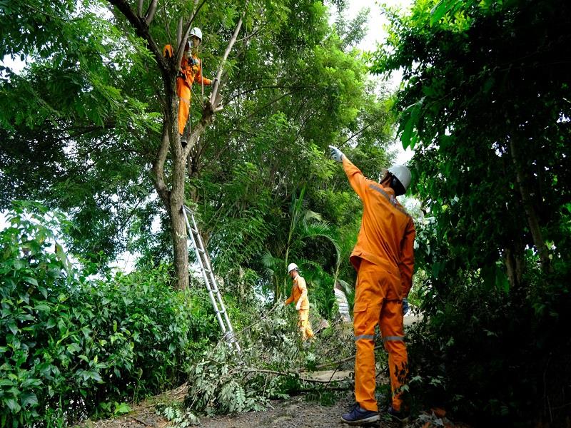 Điện lực Di Linh tăng cường phát quang các tuyến đường điện, qua đó hạn chế việc người dân đấu nối câu móc điện trái phép