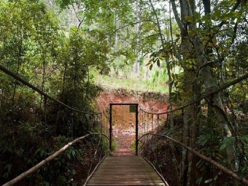 Đường đi đến thác Thiên Thai rợp bóng cây trong vườn quốc gia
