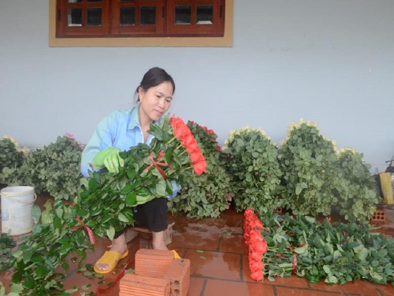 Đóng hoa hồng Lạc Dương đi nhiều tỉnh, thành trong cả nước