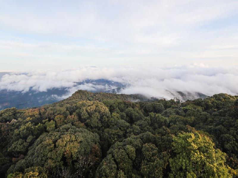 Từ đỉnh Bidoup du khách có thể quan sát những dải núi trập trùng. Những năm gần đây, việc chinh phục Bidoup ngày càng thu hút những du khách thích trải nghiệm, khám phá