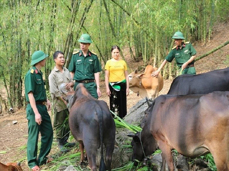 Cán bộ Đoàn Kinh tế - Quốc phòng 5, Quân khu 4 giúp người dân phát triển sản xuất, ổn định đời sống. (Ảnh: Vũ Hoàng)