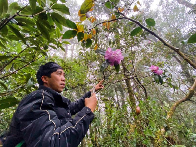 Mùa khô, nếu đi vào thời điểm may mắn, du khách có thể thưởng ngoạn hoa Đỗ quyên, một loài hoa quý hiếm nở rộ dọc tuyến đường. Theo thống kê, Vườn Quốc gia Bidoup-Núi Bà có khoảng 2.077 loài thực vật có mạch, 131 loài thú, 304 loài chim, 15 loài hạt trần, 302 loài lan... Đây là một trong 4 trung tâm đa dạng sinh học ở nước ta