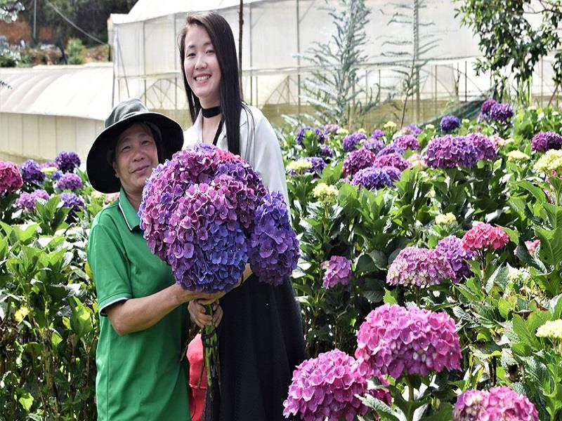 Chuyển đổi trồng giống hoa mới, nâng cao thu nhập cho người sản xuất tại vùng nông nghiệp huyện Lạc Dương