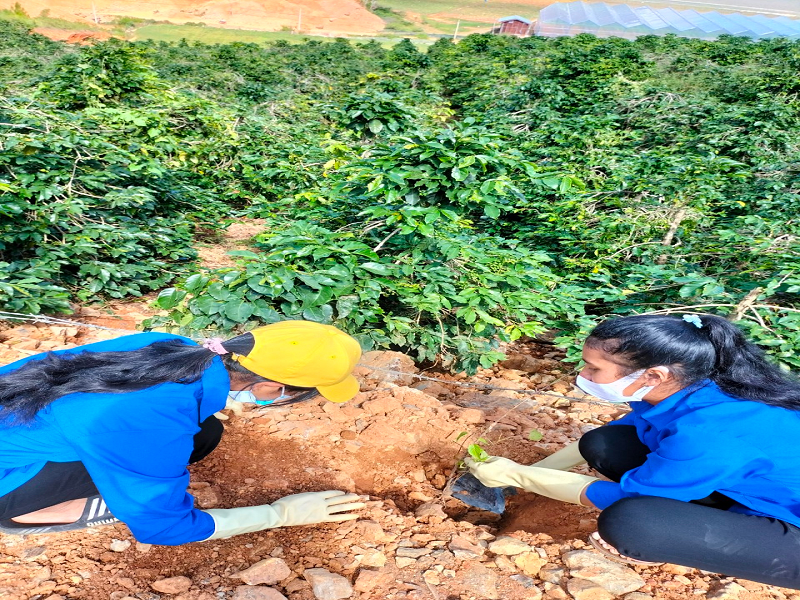 Đoàn viên thanh niên xã ra quân thực hiện phong trào Chủ nhật xanh