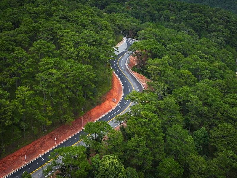 Đèo vẫn giữ được độ cong mềm mại với rừng thông ba lá đặc trưng của Đà Lạt hai bên đường