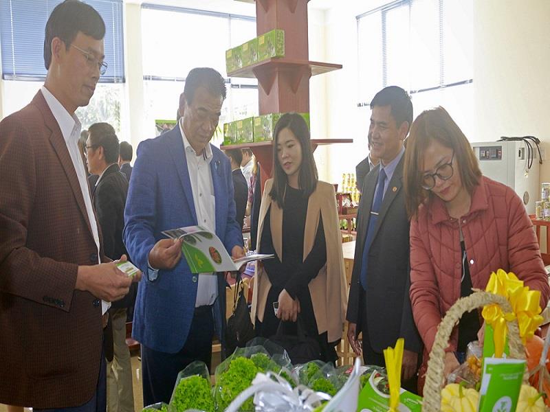 Các sản phẩm nông nghiệp đặc trưng của Lạc Dương đều được trưng bày tại Trung tâm OCOP huyện