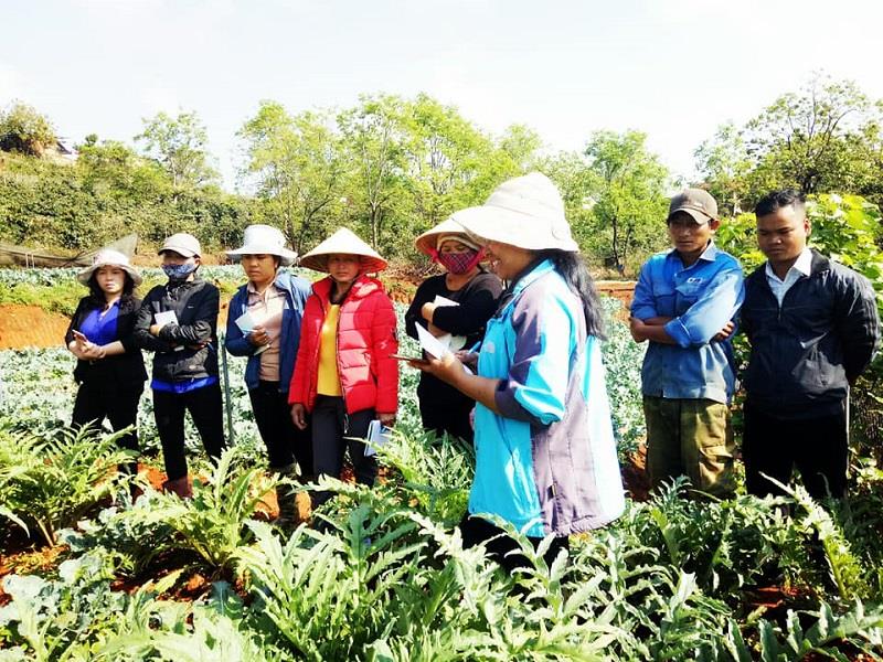 Chị Liêng Jrang K'Sáu (thứ 4 từ trái sang) cùng Ban Chấp hành Hội Nông dân xã thường xuyên xuống cơ sở kiểm tra các mô hình sản xuất do Hội Nông dân triển khai