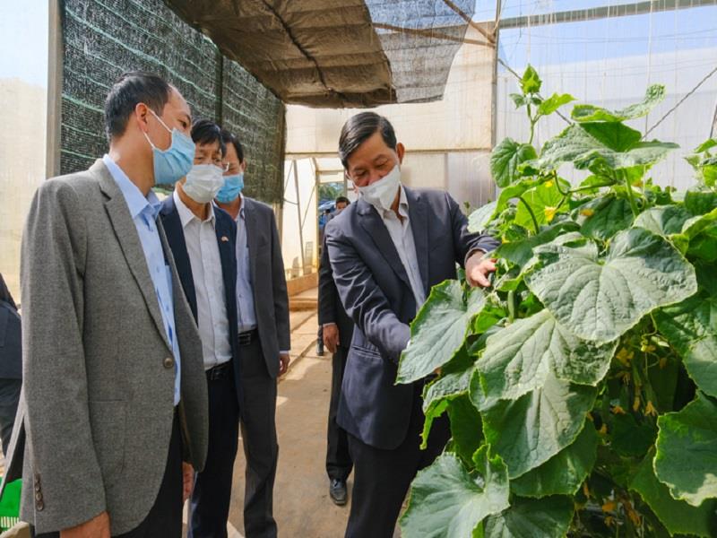 Đồng chí Trần Đức Quận - Bí thư Tỉnh ủy Lâm Đồng dẫn đầu đoàn công tác thăm, chúc tết và kiểm tra tình hình sản xuất tại Nông trường Vineco Đa Nhim (Lạc Dương)