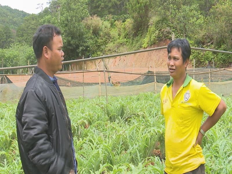 Mô hình làm kinh tế của CCB K Long Ha Đing một trong những mô hình điển hình về thay đổi tư duy vươn lên làm kinh tế