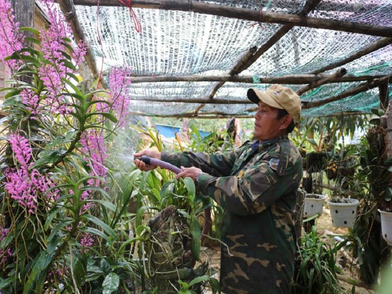 Phát huy tinh thần tiên phong, gương mẫu, đảng viên Rơ Ông Ha Jang luôn đi đầu trong phát triển kinh tế của địa phương.