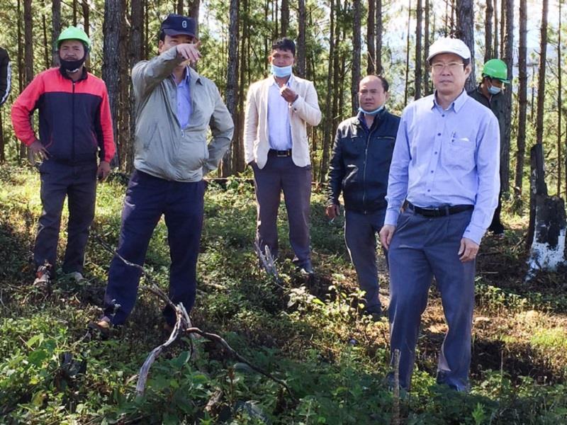 Bí thư Huyện ủy Lạc Dương Phạm Triều kiểm tra công tác quản lý bảo vệ rừng