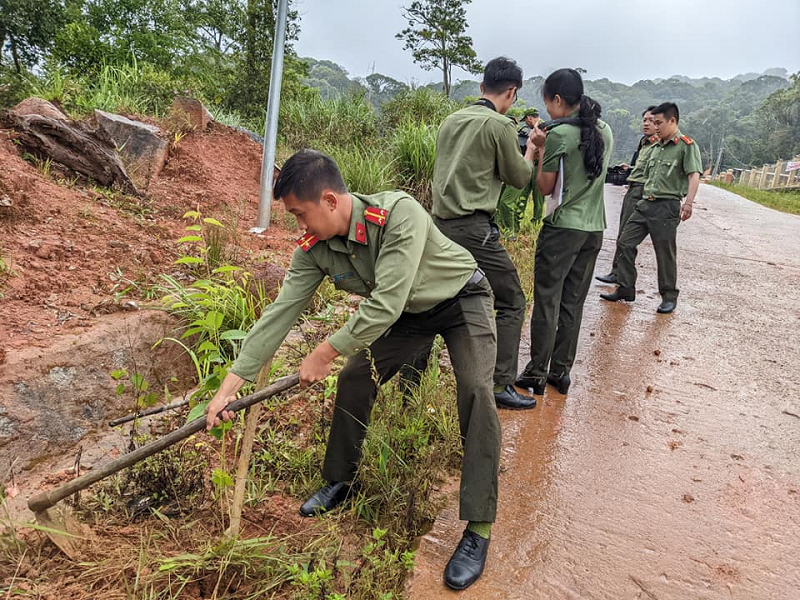 Trồng cây xanh dọc tuyến đường vào khu hành chính của xã