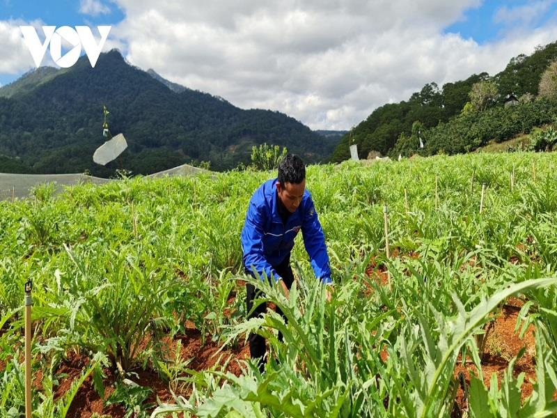 Mô mình sản xuất đa canh của ông ông Ha Thanh, ở thôn 1, xã Đạ Sar, huyện Lạc Dương