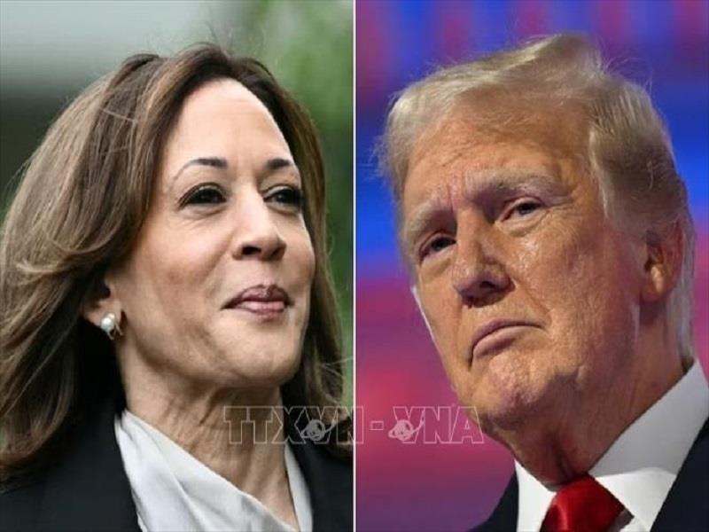 Ứng cử viên Tổng thống Mỹ của đảng Dân chủ Kamala Harris và ứng cử viên đảng Cộng hòa Donald Trump. (Ảnh: Getty Images/TTXVN)