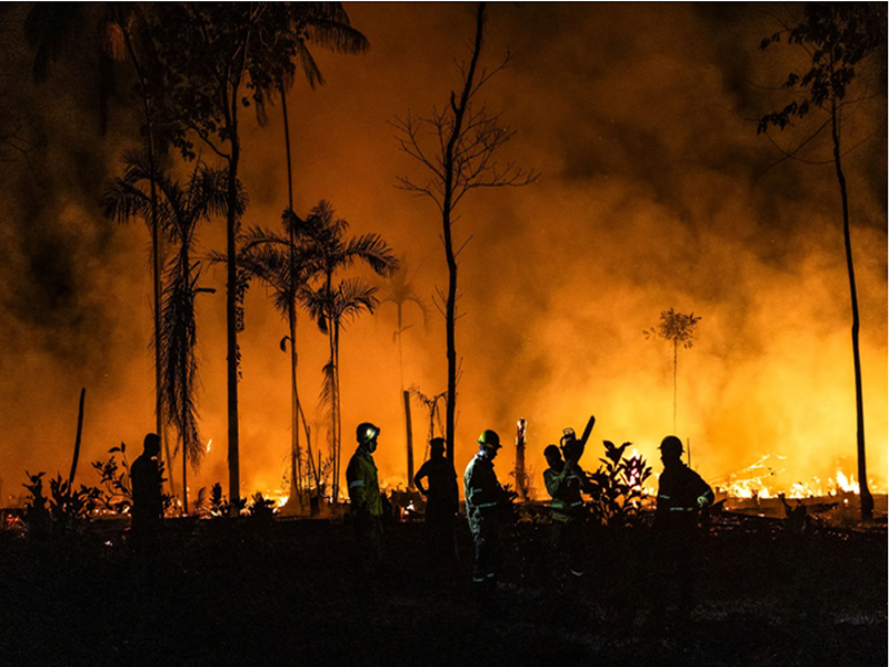 Một đám cháy rừng gần Careiro, Brazil . (Ảnh: EPA)