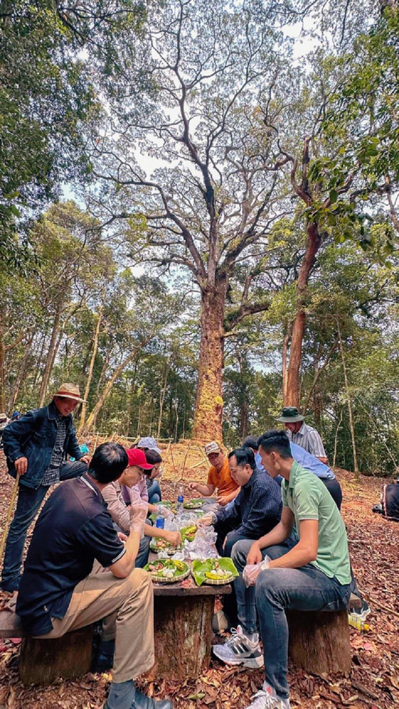 Ngoài câu chuyện cây thông 2 lá dẹt cùng thời với khủng long còn có mặt tại Việt Nam và chính ở khu vực Cổng Trời của Lạc Dương (Lâm Đồng), du khách sẽ được nghe nhiều câu chuyện khác về những khát vọng và ước nguyện của các nhà khoa học khắp nơi trên thế giới khi hay tin phát hiện thông 2 lá dẹt ở Lâm Đồng