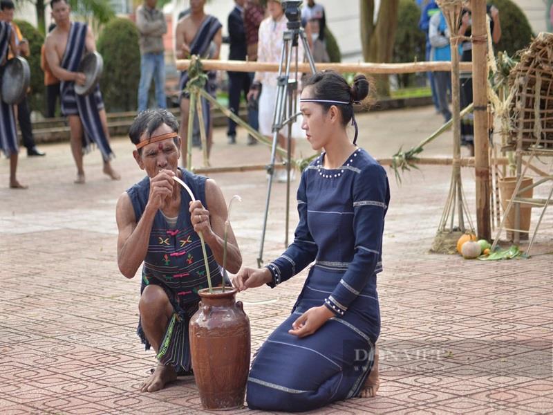 Những lễ hội, biểu diễn cồng chiêng, đốt lửa trại của người K'ho không thể thiếu rượu cần.