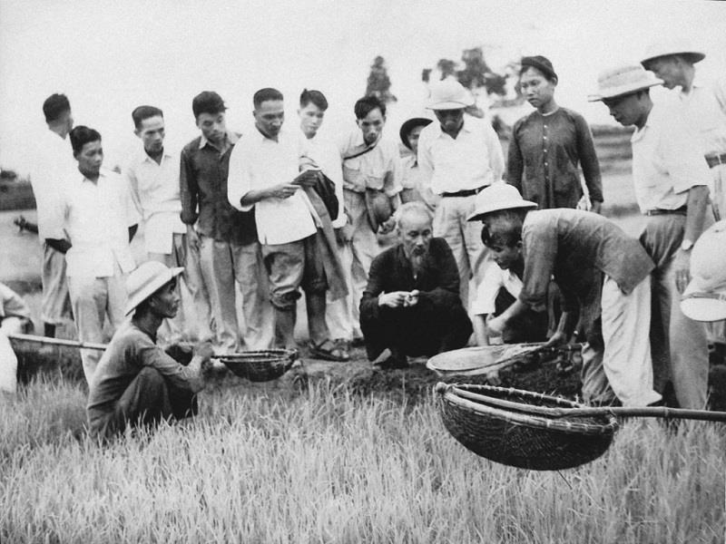 Chủ tịch Hồ Chí Minh thăm Hợp tác xã nông nghiệp Tân Lập, huyện Quốc Oai, tỉnh Hà Tây (năm 1958). Ảnh: Tư liệu
