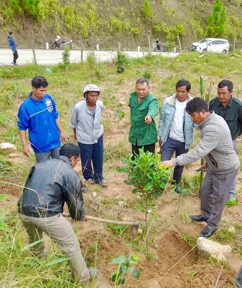 Các thành viên trong dòng họ Bon Niêng hướng dẫn nhau phát triển sản xuất