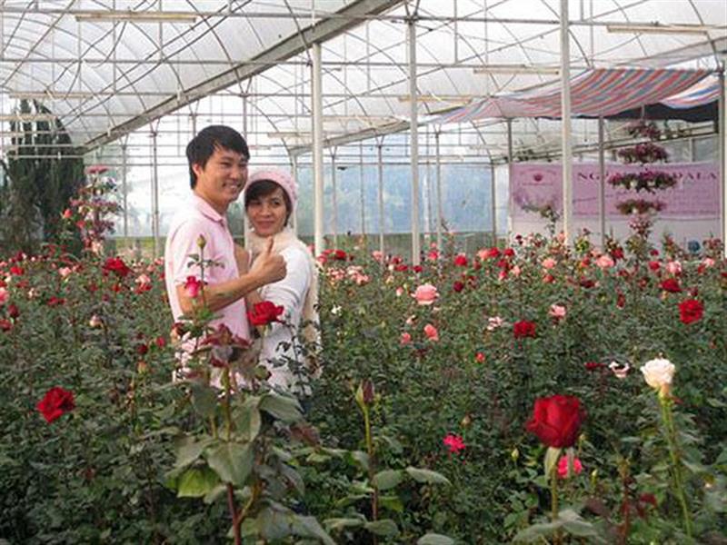 Khách du lịch chụp hình kỷ niệm ở vườn hoa của nông dân thị trấn Lạc Dương. (ảnh: Thanh Hồng)
