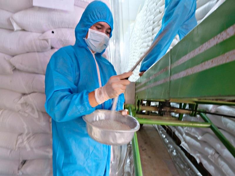 Hàng năm, các em học sinh có hoàn cảnh khó khăn trên địa bàn đều được Nhà nước hỗ trợ gạo trong cả 2 học kỳ của năm học