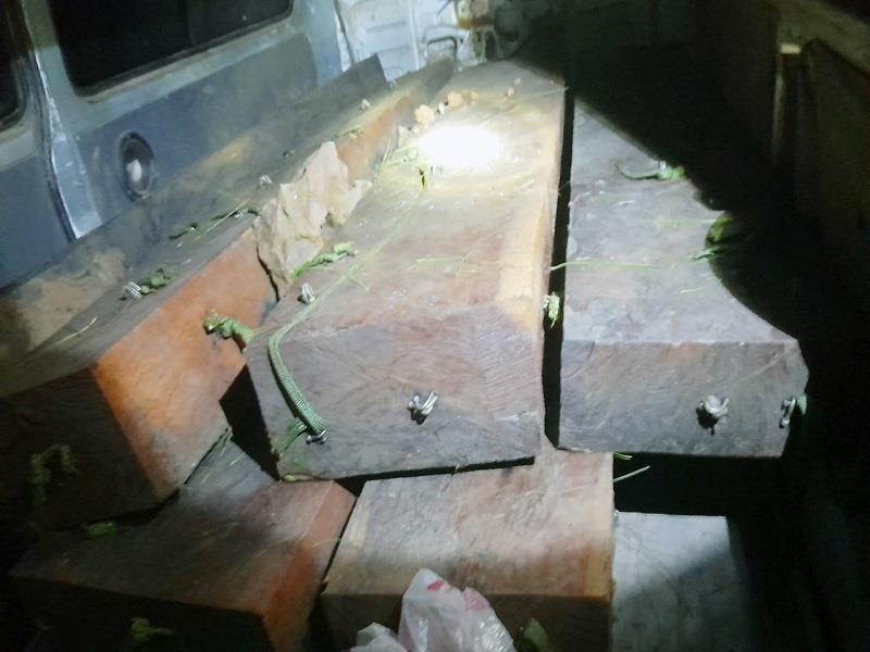 Gỗ thu giữ tại hiện trường
