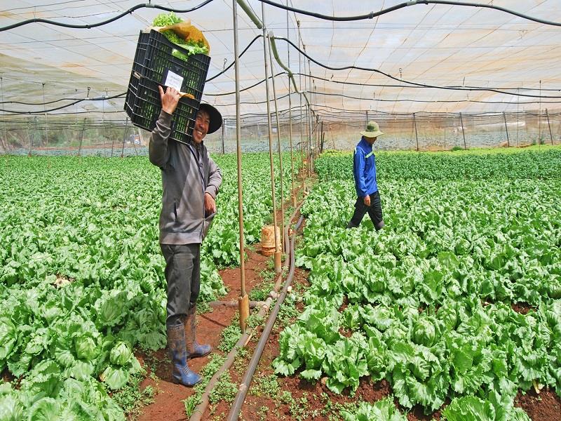 Xây dựng và phát triển hệ thống tưới tự động, tưới tiết kiệm nước trong sản xuất nông nghiệp là một trong các biện pháp công trình chủ động ứng phó với thiên tai hạn hán trên địa bàn...