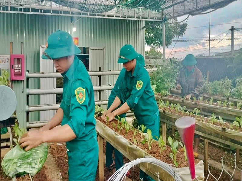 Lực lượng vũ trang huyện Lạc Dương đẩy mạnh tăng gia sản xuất, nâng cao đời sống