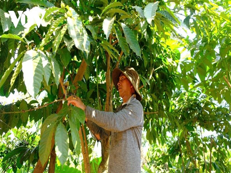 Đảng viên vùng dân tộc thiểu số của tỉnh Lâm Đồng luôn phát huy vai trò tiên phong, gương mẫu trong sản xuất và đời sống