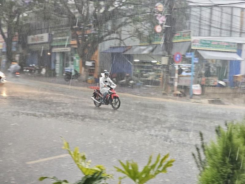 Mưa lớn kéo dài khoảng 40 phút trên địa bàn TP Đà Lạt chiều 31/3