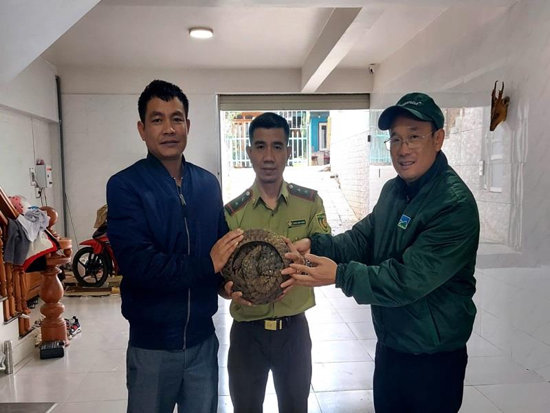 Ông Nương (bên phải) giao nội cá thể tê tê cho cơ quan Kiểm lâm