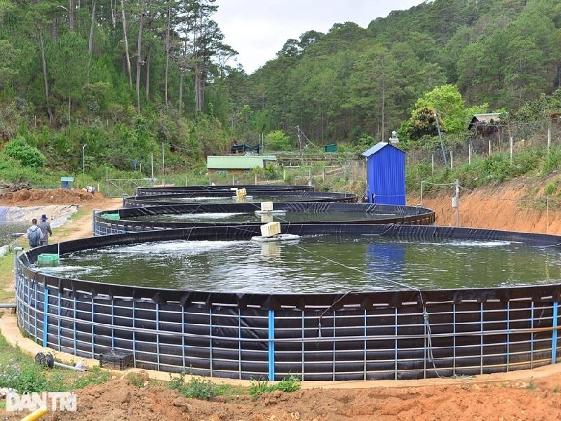 Khu nuôi cá tầm của gia đình ông Nguyễn Đình An tại xã Đạ Nhim, huyện Lạc Dương, Lâm Đồng (Ảnh: Minh Hậu).