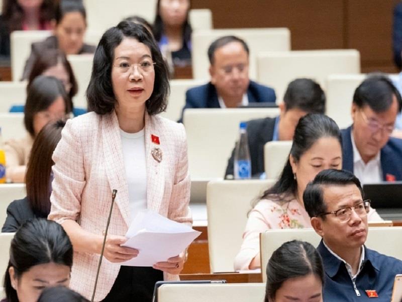 Đại biểu Mai Thị Phương Hoa (Đoàn Nam Định), Phó Chủ nhiệm Ủy ban Tư pháp phát biểu tại Hội trường Quốc hội. (Ảnh: TL)