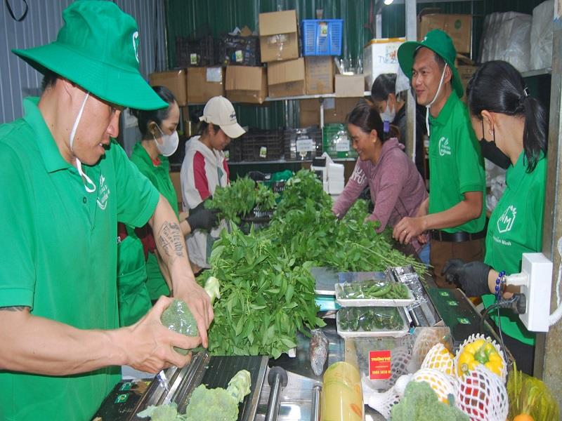 9 tháng đầu năm 2024, HTX Rau sạch Nguyễn Minh bao tiêu mỗi ngày 2 tấn rau, củ, quả của nông hộ liên kết để sơ chế, đóng gói cung cấp cho thị trường