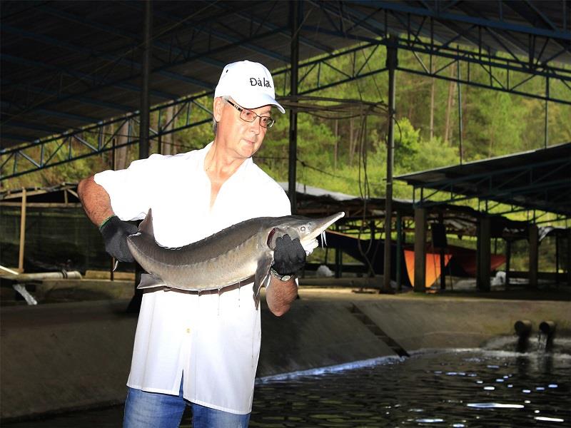 Anh Gennady Kuznetsov và sản phẩm cá tầm Thung lũng Nắng