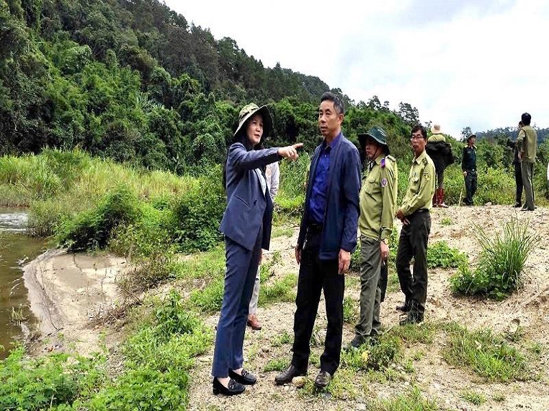 Bí thư Huyện ủy Lạc Dương Trần Thị Chúc Quỳnh đi kiểm tra rừng