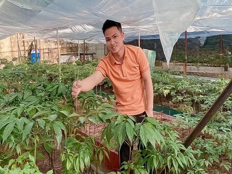 Mặc dù có kinh nghiệm trong việc trồng sâm Ngọc Linh tại Kon Tum, song khi đến vùng đất mới với phương pháp canh tác khác biệt, anh Nguyên đã trải qua không ít khó khăn