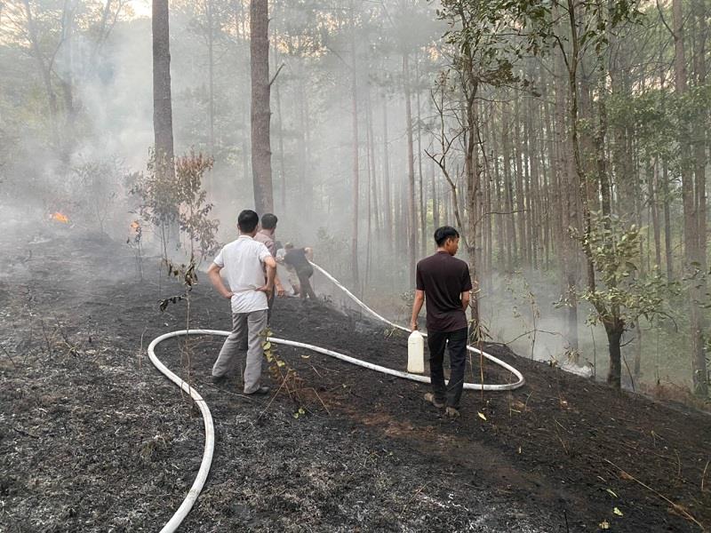 Lực lượng quản lý bảo vệ rừng thuộc Ban QLR Lâm Viên tham gia chữa cháy rừng