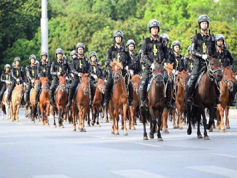 Đoàn Cảnh sát cơ động kỵ binh Bộ Công an