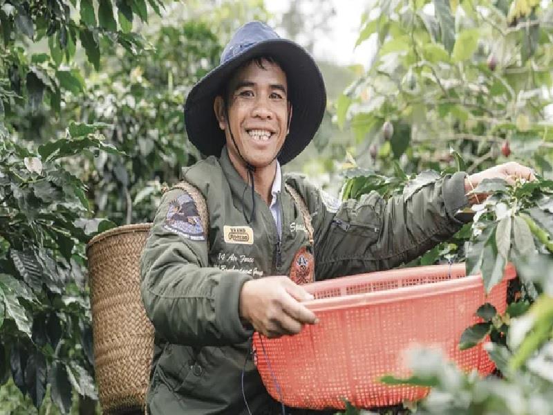 Người dân tại vùng dự án Café-REDD ở huyện Lạc Dương, tỉnh Lâm Đồng. (Ảnh: SNV)