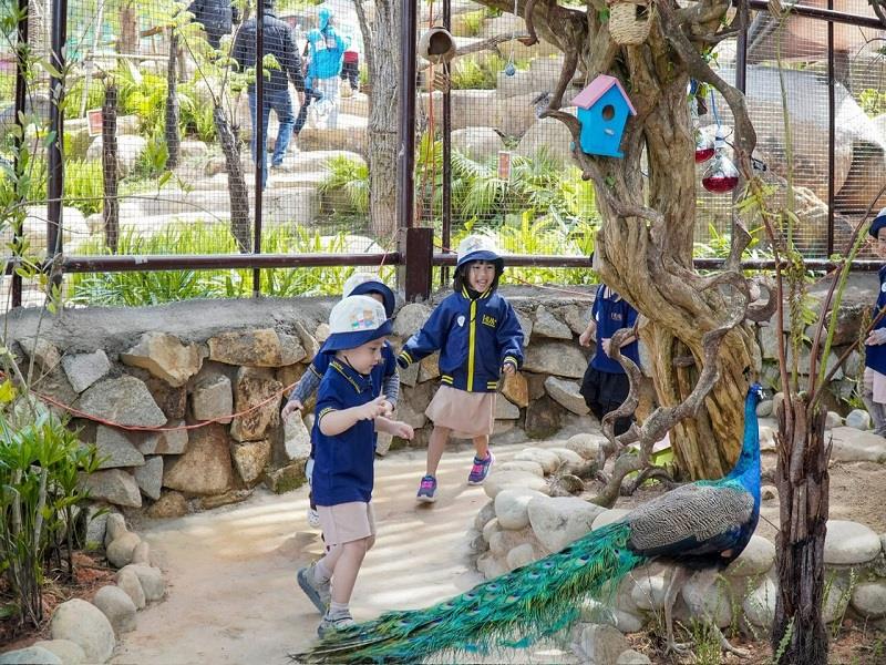Vườn thú bao quanh bởi thiên nhiên xanh mát với các loài động vật góp phần nuôi dưỡng tình yêu thiên nhiên cho trẻ thơ