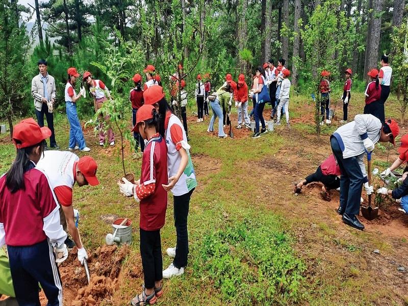 Hoạt động “Vì một triệu cây xanh cho rừng phòng hộ”