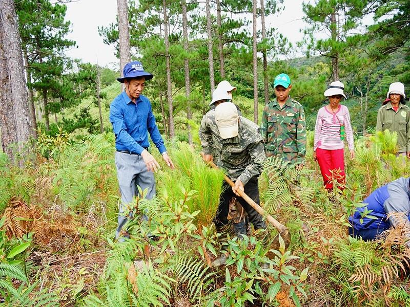 Ông Nguyễn Lương Minh - Phó Giám đốc phụ trách Vườn quốc gia Bidoup - Núi Bà (trái) trực tiếp tham gia trồng cây