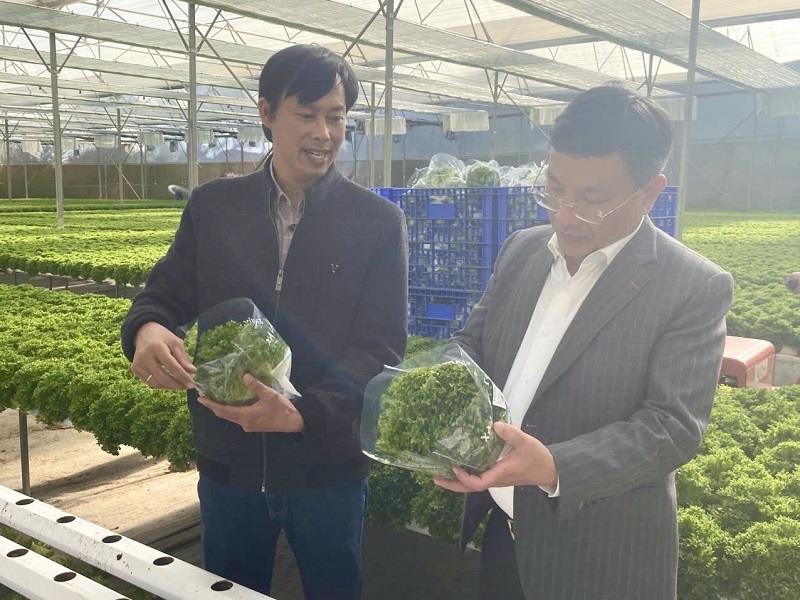Chủ tịch UBND huyện Lạc Dương Bùi Thế thăm hỏi tình hình sản xuất, kinh doanh của doanh nghiệp