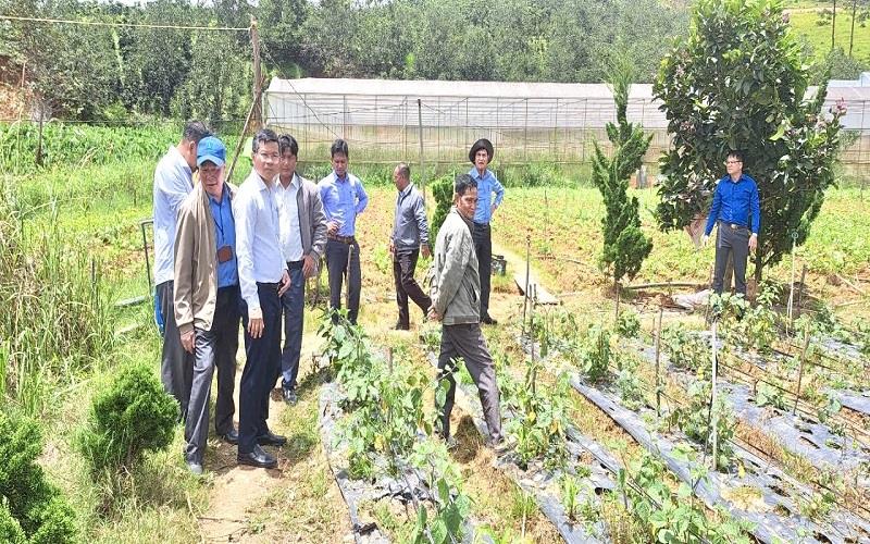 Các đại biểu tham quan các mô hình phát triển kinh tế tại xã Đạ Nhim