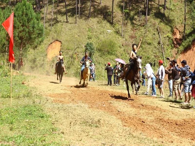 Giải đua ngựa không yên cũng sẽ là hoạt động thể thao hấp dẫn người dân và du khách