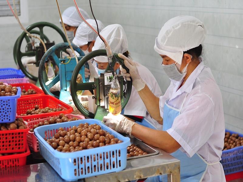 Ưu tiên phát triển công nghiệp chế biến nông sản