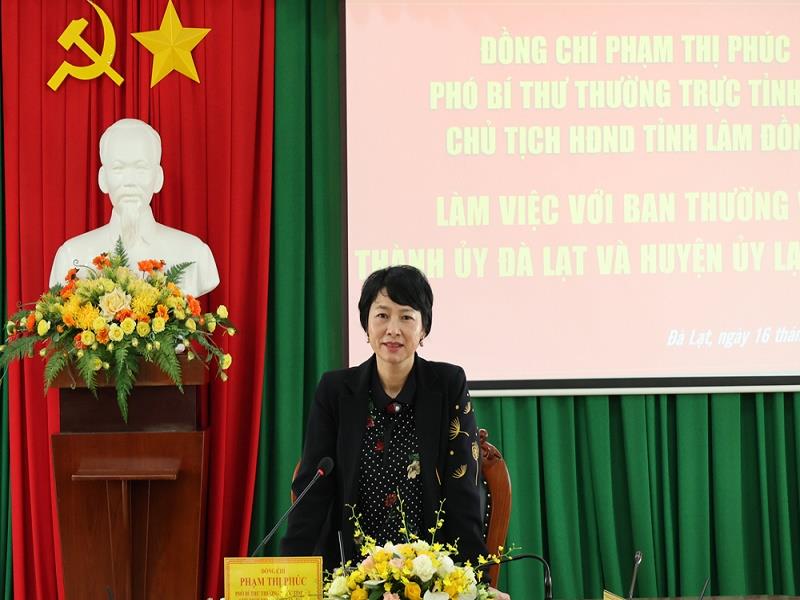 Đồng chí Phạm Thị Phúc - Phó Bí thư Thường trực Tỉnh ủy, Chủ tịch HĐND tỉnh phát biểu kết luận buổi làm việc
