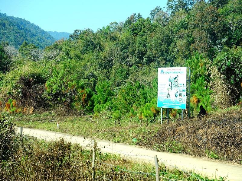 Tiểu khu 26 và 27 ngày nào trơ trọi nay đã hoàn toàn phủ xanh cây rừng